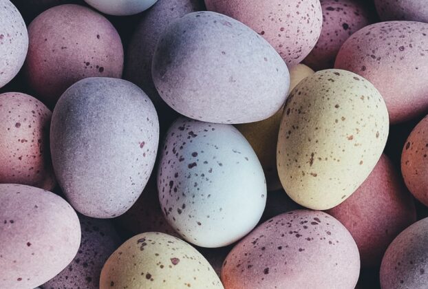 floating egg