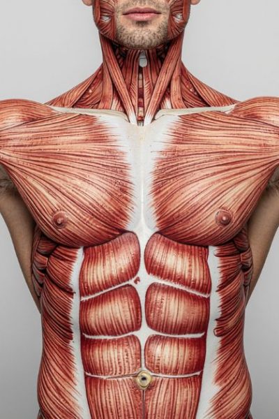 is body armor healthy