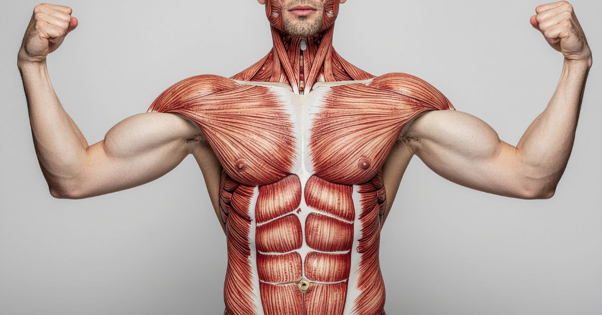 is body armor healthy